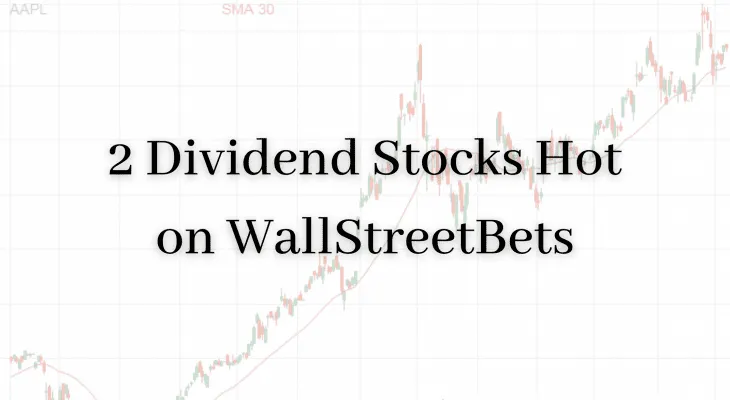 dividend stocks hot on wallstreetbets