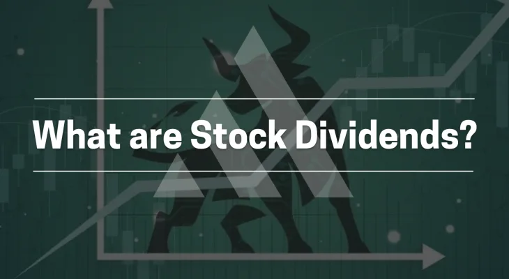 What are Stock Dividends? title card