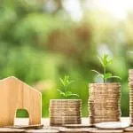 Quarterly Dividend