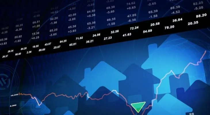 Dividend